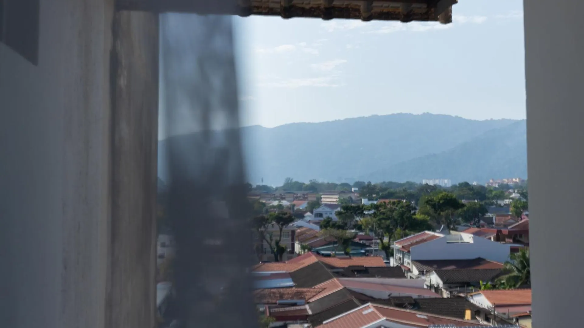 Eastern Apt, Jelutong